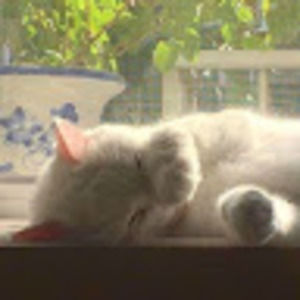 Meet your Posher, Christina